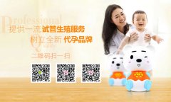 改善卵子质量怎么做
